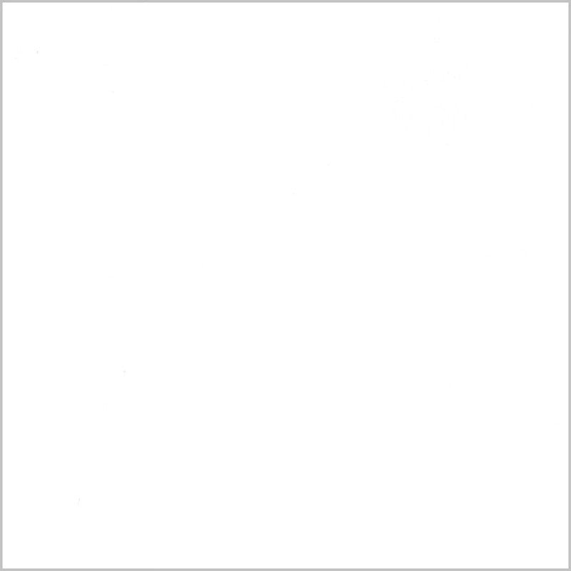 Wolfgang Dining Armchair (Set of 2)