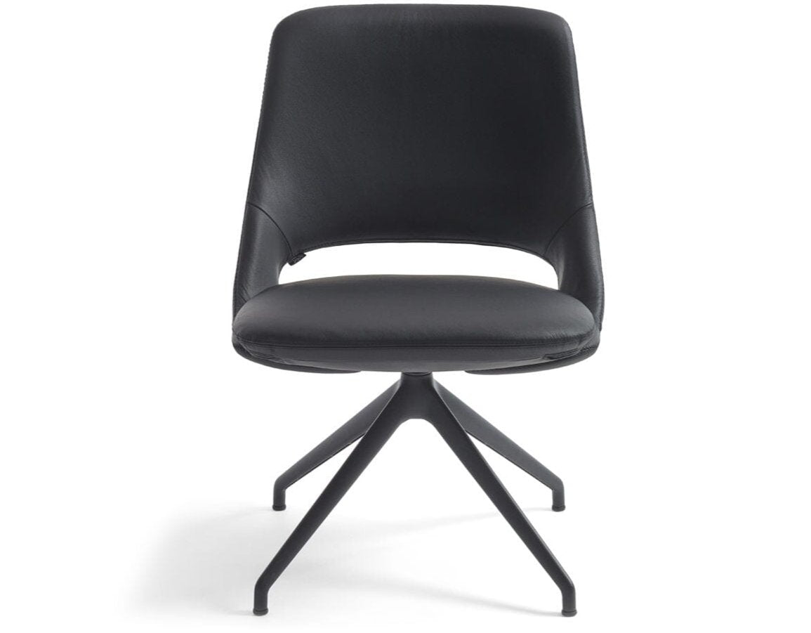 Zuma Low Back Chair